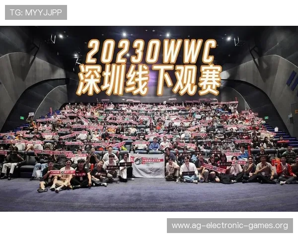 世界杯新西兰埃及现场观赛注意事项：入场流程、观赛礼仪及安全保障全解析